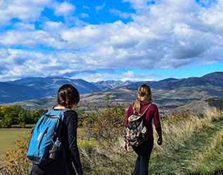 loacal activities and tours